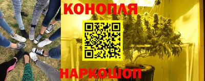 гашик Туймазы